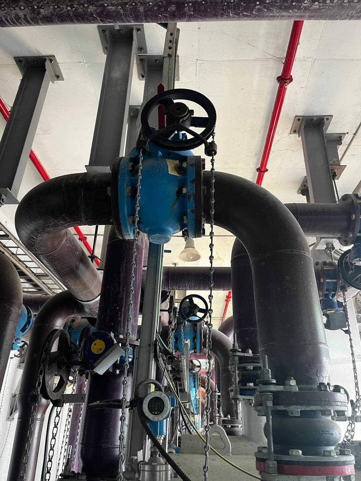 גלריית מגופים עם צנרת כבדה